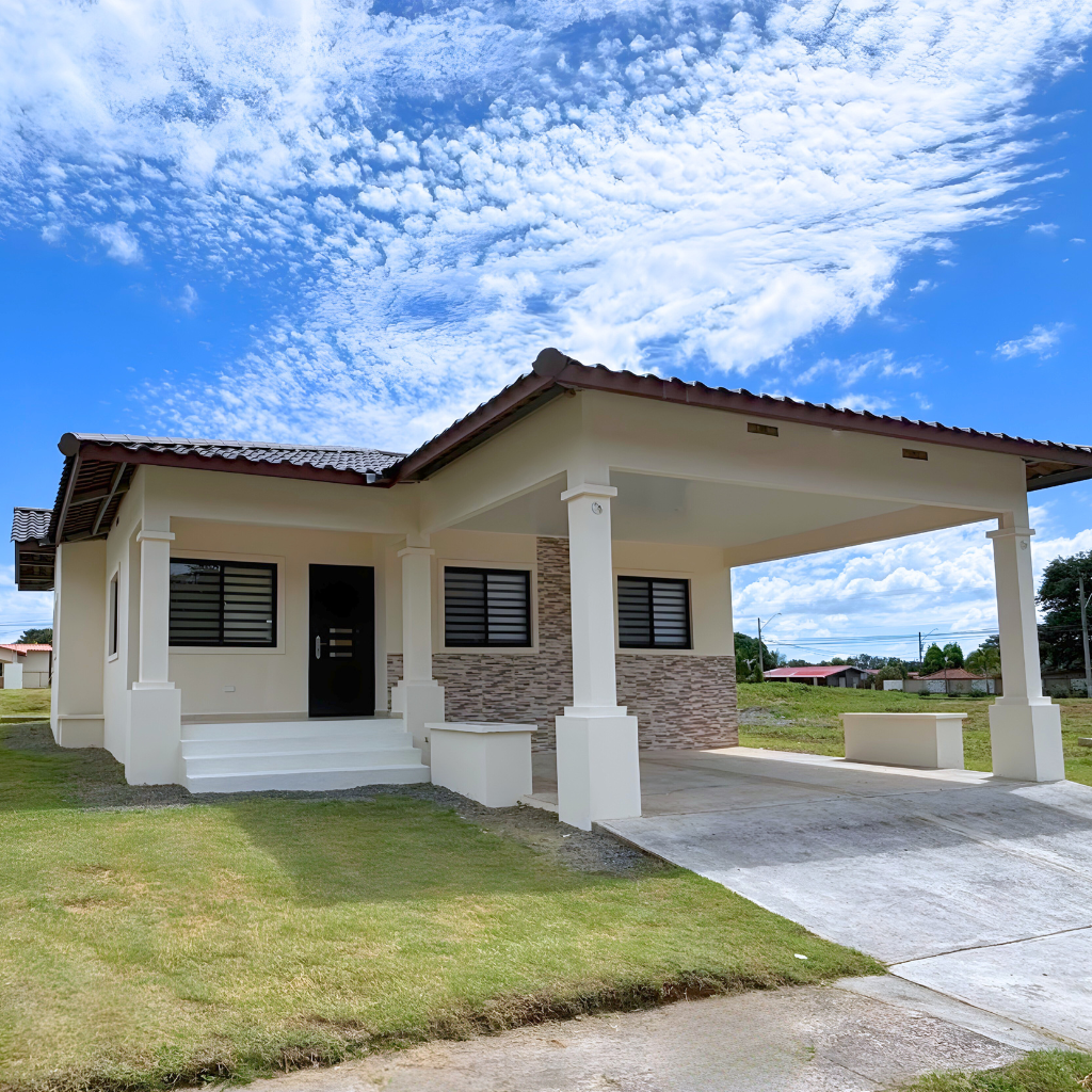 MODELO GUACAMAYA WEB